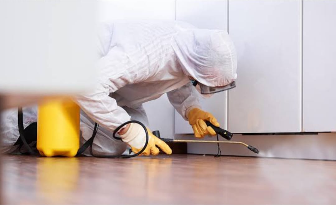 pestcontrolservicesinthane Dr Tidy Up